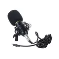 Obraz % s -Klasický kondenzátorový mikrofon pro podcasty, s příslušenstvím a zlatou ochrannou mřížkou
