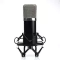 Obraz % s -Klasický kondenzátorový mikrofon pro podcasty, s příslušenstvím, se stříbrnou ochrannou mřížkou