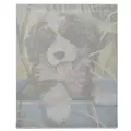 Obraz % s -Sada malíře čísel s dřevěným rámem, 30 × 40 cm, se vzorem psa