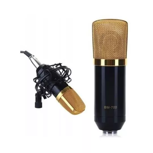 Klasický kondenzátorový mikrofon pro podcasty, s příslušenstvím a zlatou ochrannou mřížkou