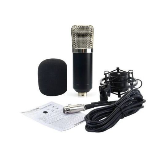 Klasický kondenzátorový mikrofon pro podcasty, s příslušenstvím, se stříbrnou ochrannou mřížkou